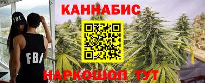 крисы Малгобек