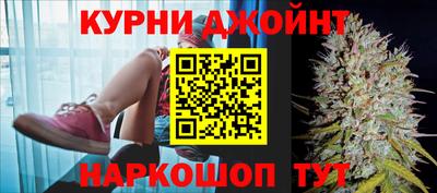 крисы Малгобек