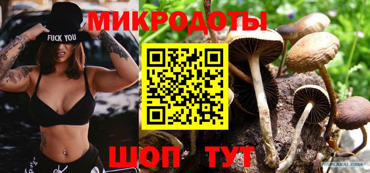 Псилоцибиновые грибы Magic Shrooms Рыбинск