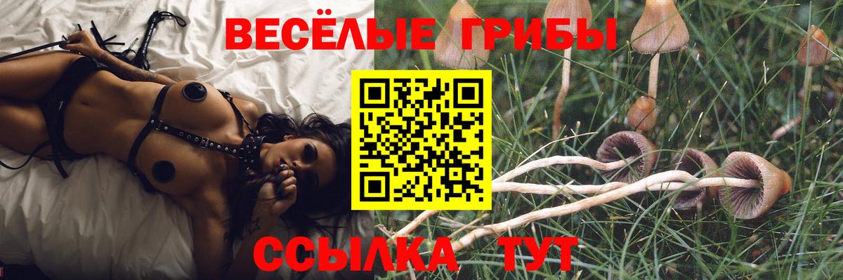 Рыбинск  Галлюциногенные грибы GOLDEN TEACHER  Вход с VPN 